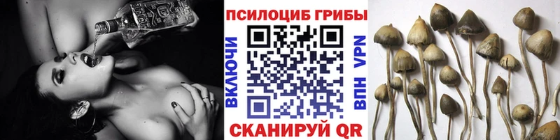 Псилоцибиновые грибы мухоморы  Александровск-Сахалинский 